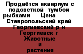 Продаётся аквариум с подсветкой, тумбой, рыбками.  › Цена ­ 3 000 - Ставропольский край, Георгиевский р-н, Георгиевск г. Животные и растения » Аквариумистика   . Ставропольский край